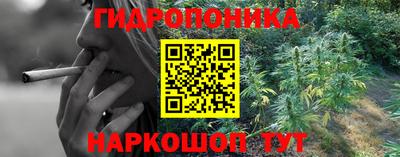 индика Старая Купавна