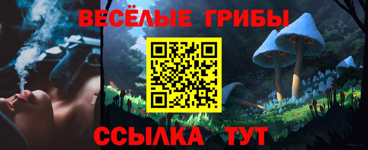 Галлюциногенные грибы Magic Shrooms Новоалександровск